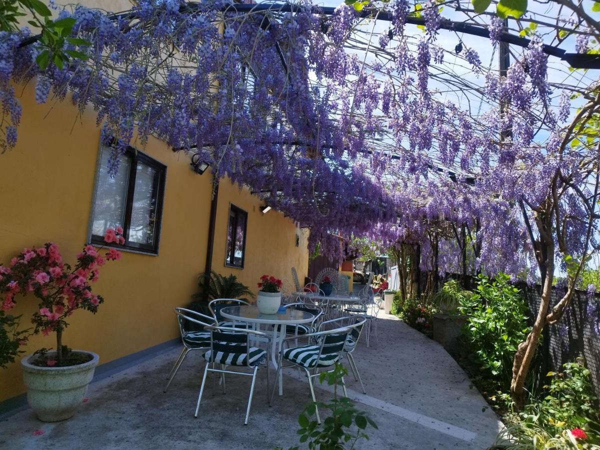 Hotel Casa Da Vieira Ourense Zewnętrze zdjęcie